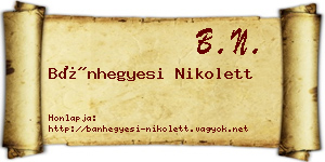 Bánhegyesi Nikolett névjegykártya